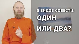 5 видов совести: Один или два? 5 видов совести: Один или два?