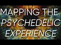 Mapping the biological basis of the psychedelic experience  mindstate design labs