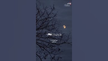 ﴿يقول يا ليتني قدمت لحياتي...﴾ [الفجر:٢٤-٢٥] || القارئ رعد الكردي