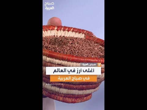 الأرز الحساوي أغلى أرز في العالم في استوديو صباح العربية مع الشيف هشام باعشن