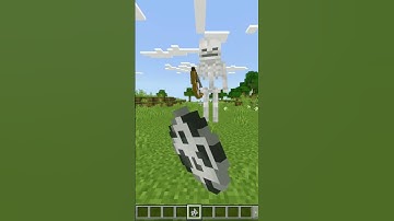 Minecraft Skeleton logic be like #minecraft #logic #brainrot