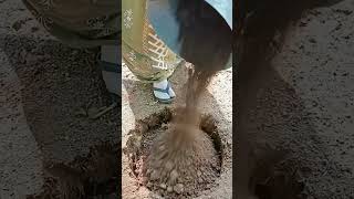 Secret Soil Hack: The "Trench Compost" Method for Huge Harvests! 🌱✨ #shorts