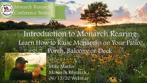 MONARCH RESEARCH - INTRODUCTION TO MONARCH REARING WEBINAR