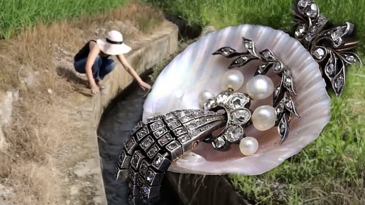 😱😱  5000 year old clam shell decryption: female hunter tears open golden soul wrapped in pearls