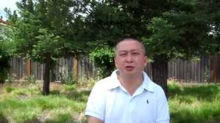 Birdemic 2 Message To Pirate Bay From James Nguyen