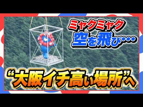 【お引越し】ミャクミャクが空を飛ぶ！？ヘリで吊るされ標高1000mの「ちはや園地」へ 出迎えた吉村知事…爆風に思わず後ずさり（2026年9月14日）