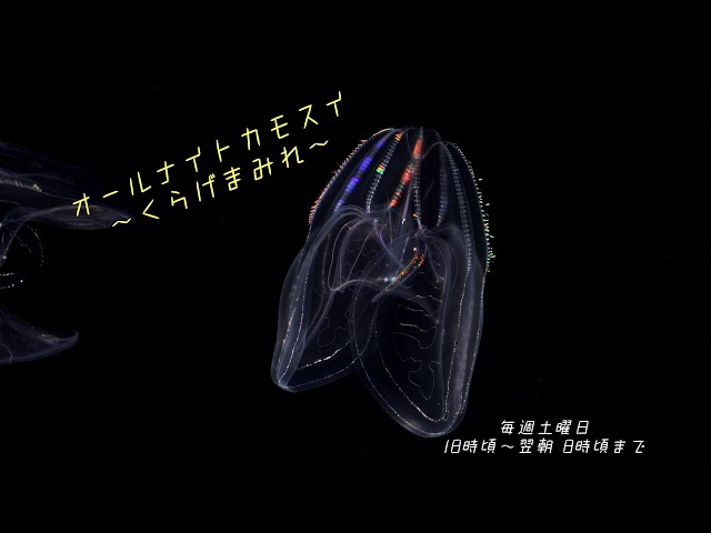 くらげ クリスタルライトボール クラゲ - スタジオソータ公式 | アート