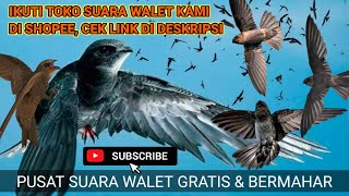 Live Stream SUARA WALET TERBAIK TAHUN 2022 - Full 3 JAM