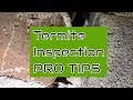 DIY Termite Inspection Tips (Dunn,N.C.)