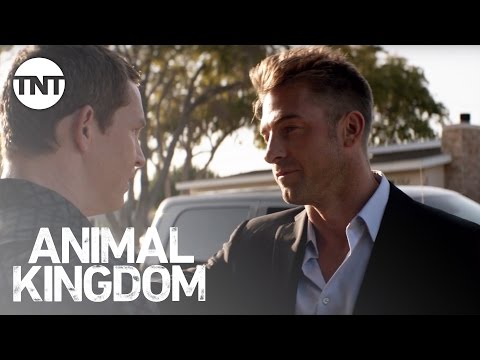 Instinct | Animal Kingdom | TNT - Instinct | Animal Kingdom | TNT