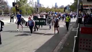 March For the Babies 2014 Wealth
