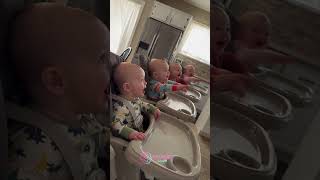 Four Babies Heard Daddy’s Voice… Watch Who Reacted First 😭👶🇺🇸❤️