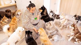 Suffered Complete ACL Tears in BOTH Knees!The Life Story of a Sumo Wrestler Who Loves🐶Dogs & 🍰Sweets screenshot 4