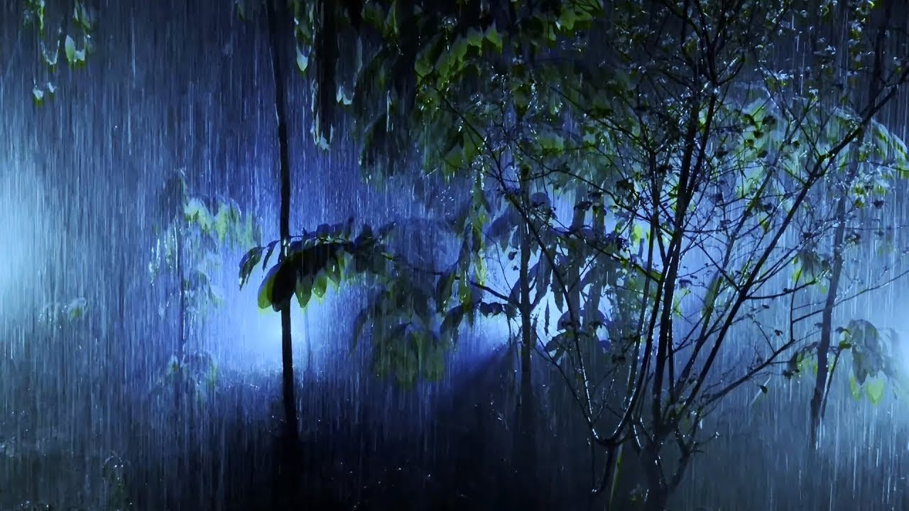 Засыпайте за 10 минут из-за сильного ливня и оглушительных звуков грома ...