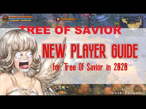 New Player Guide for Tree Of Savior in 2020