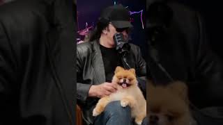 Gene Simmons Breaks Down Over Seeing Ace Frehley’s Open Casket