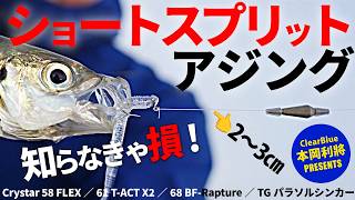 ショートスプリットアジング／扱いやすくてメリットいっぱいの大注目メソッド #クリアブルー #本岡利將 #三浦一平