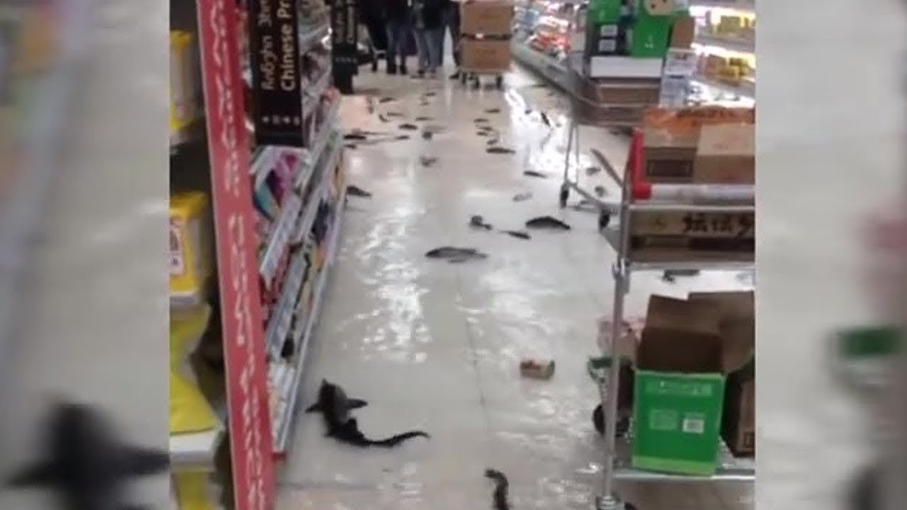 herşey dahil düğün paketleri Eğer Bu Video Kaydı Olmasaydı, Kimse Buna İnanmayacaktı. #2