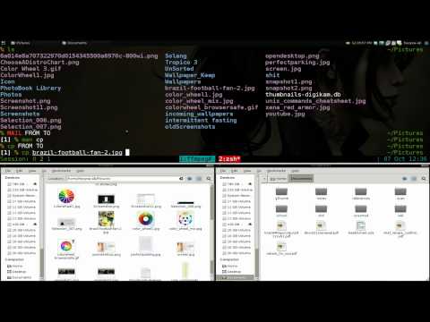 Copy, Move, Rename Files and Folders - Linux CLI