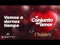 Conjunto Chaney - Vamos A Darnos Tiempo | Salsa Romantica con Letra