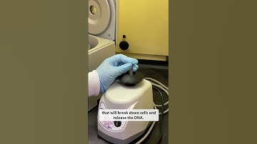 Forensic DNA Testing