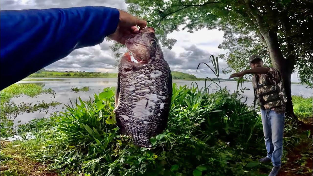 O DESESPERO TOMOU CONTA ! Hoje  Levei PREJUÍZO.. Pescaria