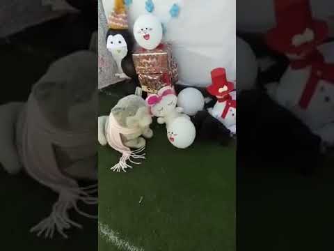 شتي يا دنيي تيزيد موسمنا ويحلى وتدفق مي وزرع جديد بحقلتنا يعلى