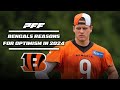 Cincinnati bengals reasons to be excited for 2024  pff