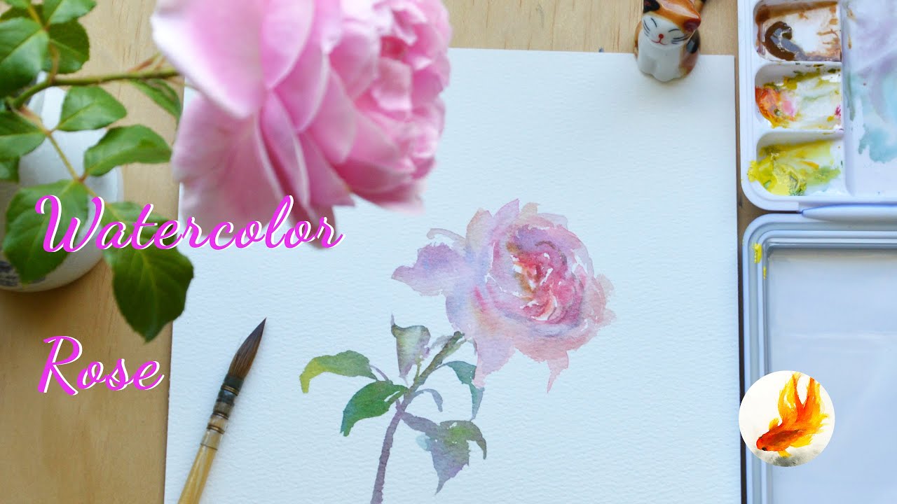 Pink Romantic Rose in watercolor - Botanical Study - Lesson and  Demonstration about how to paint a rose in watercolor