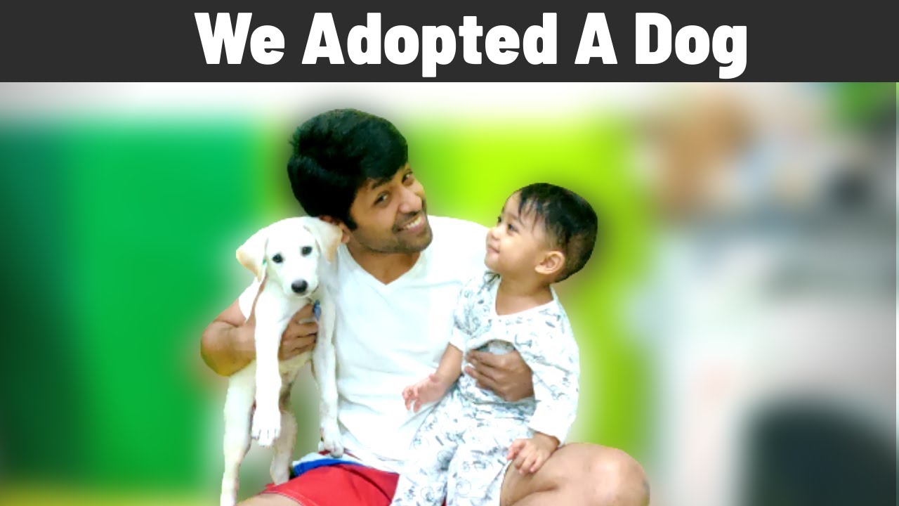 We Adopted a Dog in Qatar 🐕‍🦺🐾| How did it Go? l Liam's Reaction l First-Time