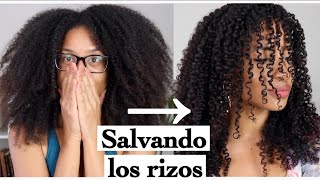 RECUPERANDO LOS RIZOS ESTE VERANO CON REMEDIO CASERO + TIPS | FRIZZYDESI