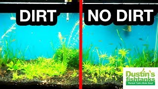 DIRT VS NO DIRT PROOF Planted Tank Substrate Time Lapse of Growth
