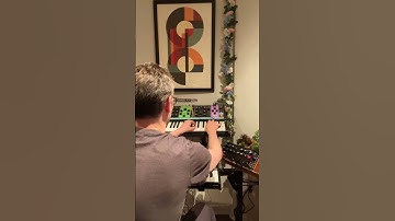 Synth Jam # 12 [ Sequential Take 5 + Moog DFAM + Moog Matriarch ]