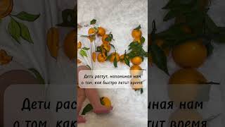 Не торопитесь жить