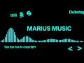 LMFAO - Party Rock Anthem [Arion Dubstep Remix] |Dubstep| Marius Music - Say bye bye to copyright 