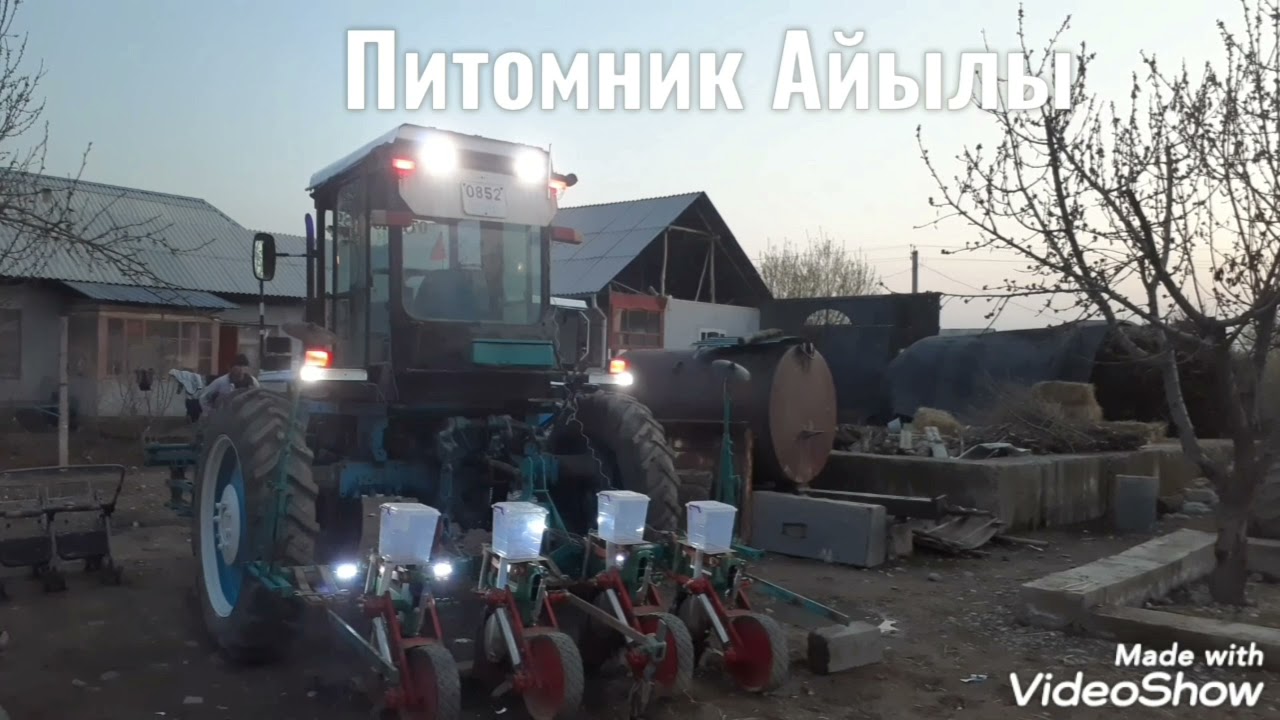 Питомник АЙЫЛЫ