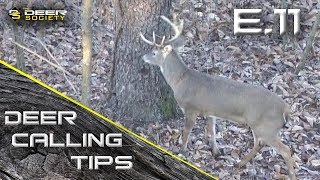Deer Calling Tips - E.11 "Trailing Grunts"