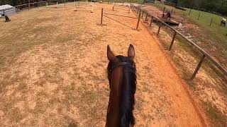 GOPRO JUMP AND FLATWORK - Jhar EQ