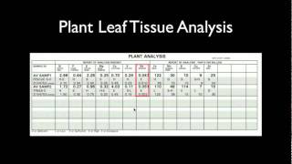 Leaf Tissue Analysis.mov
