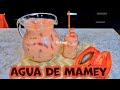 Agua de Mamey 🧡Conocida como Zapote Cremosa y Refrescante  🧊la tienes que probar😋