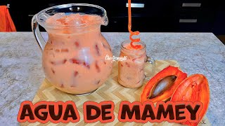 Receta de Agua de Sandía • Mama Latina Tips