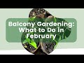 February Gardening Tips: Essential Tasks for a Thriving Balcony &amp; Container Garden 🌱