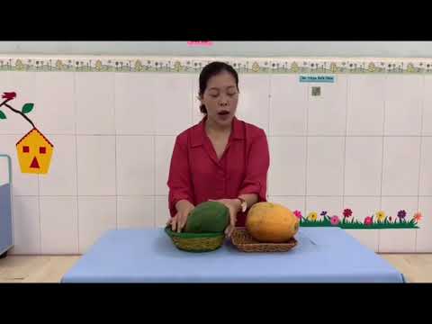 Cô Huyền - Cơm nát - Nhận biết quả đu đủ