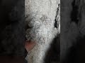 Ст3