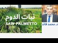 الدكتور محمد فائد  || تعريف لنبات الدوم