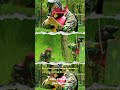 MAIN PAINTBALL SAMBIL MENIKMATI UDARA SEJUK DI BATU MALANG | TIPS INDONESIA | 0895-3718-17600