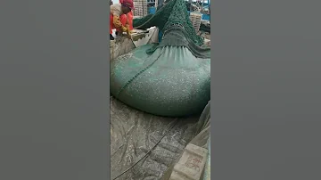 رفع شبكة الصيد الاسماك بحري وافرغها ماشاء الله 9 28 