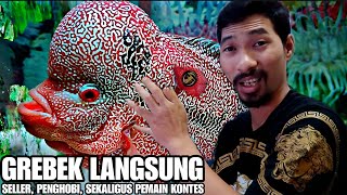 WoOW !!! GREBEK LANGSUNG BASECAMP FAMILY FLOWERHORN BANYAK GACOAN LOUHAN KONTES