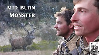 Mid Burn Wapiti Ballot 2023  Would You Take the Shot? 10Day Fiordland Wapiti Hunting Expedition