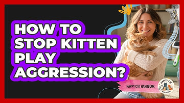 How To Stop Kitten Play Aggression?
